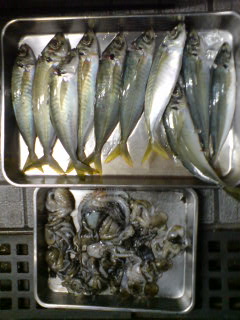 070912_1531~01.jpg
