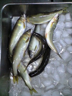 080716_2112~0001.jpg